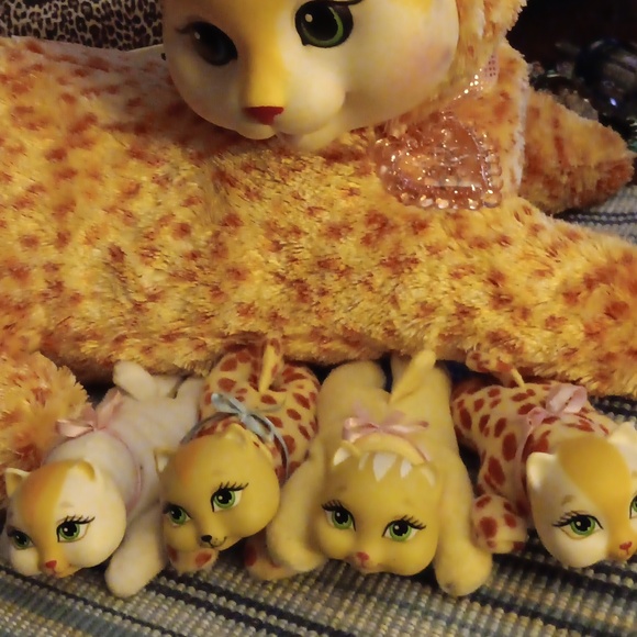 Kitten Surprise Cheetah Tabby - Picture 4 of 5